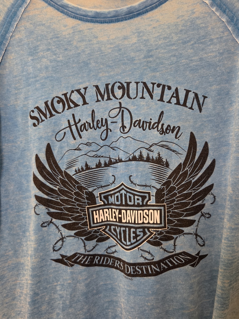Harley-Davidson Smoky Mountain Blue Graphic Long Sleeve Shirt Medium